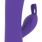 MR BOSS - AITOR RABBIT + CONTROLO REMOTO WATCHME
