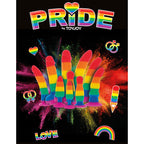 ORGULHO - BANDEIRA LGBT PLUG TWINK 8,5 CM