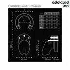 ADDICTED TOYS LOCKED - GAIOLA PARA PÊNIS FORBIDDEN VAULT 10 CM